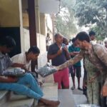 Volunteering at HFF: How You Can Make a Difference in Just One Day